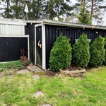 Pihavaja