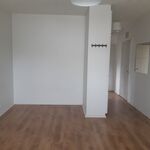 Yleiskuva huoneesta, makuualkovi