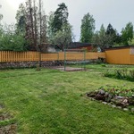 Piha jaettu ruusupensas aidalla