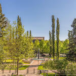 Näkymä Sibeliuksen puistoon