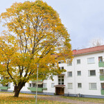 Viljonpolku 6