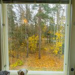 Näkymä makuuhuoneista
