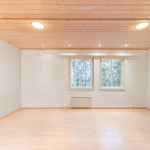 Kellarikerroksen huone