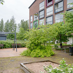 Sisäpihaa