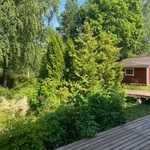 pihanäkymää