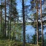 näkymä kuistilta