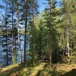 näkymä kuistilta