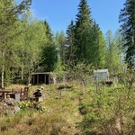 kasvimaa