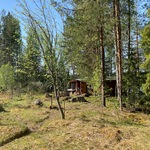 kasvimaa