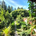 Takapiha