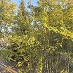 Näkymä parvekkeelta