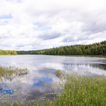 Kurjenjärvi