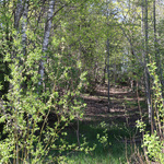 Kalliolankatu 3 pihatieltä