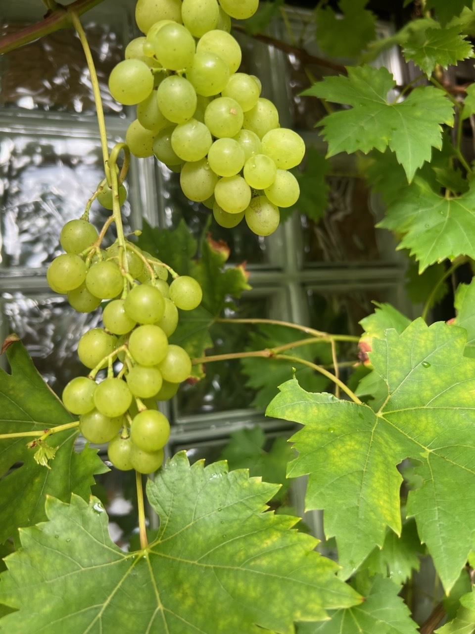 Teinintie  - kuva 34