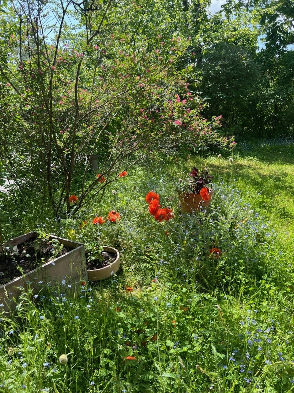 Teinintie  - kuva 32