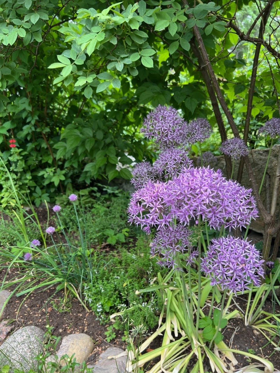 Teinintie  - kuva 33