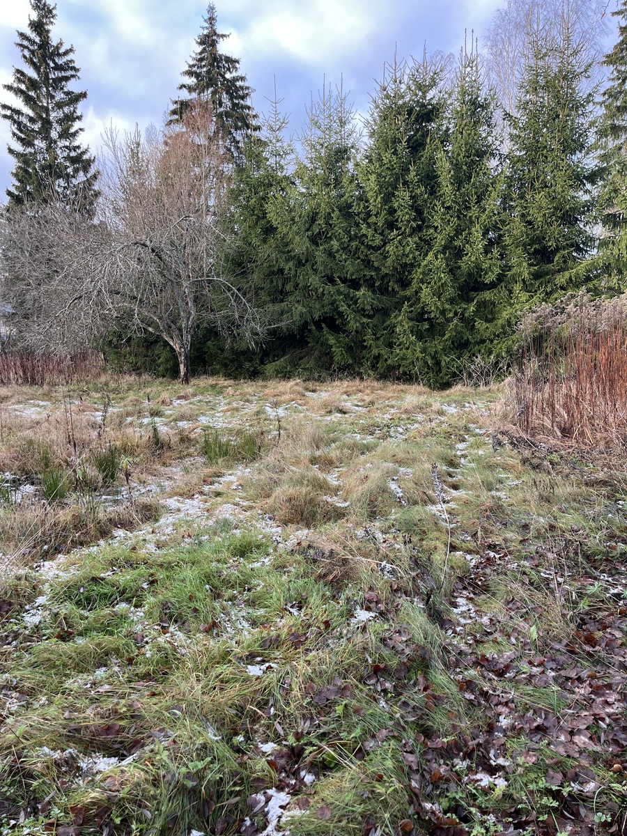 Linnaistentie 15 - kuva 5