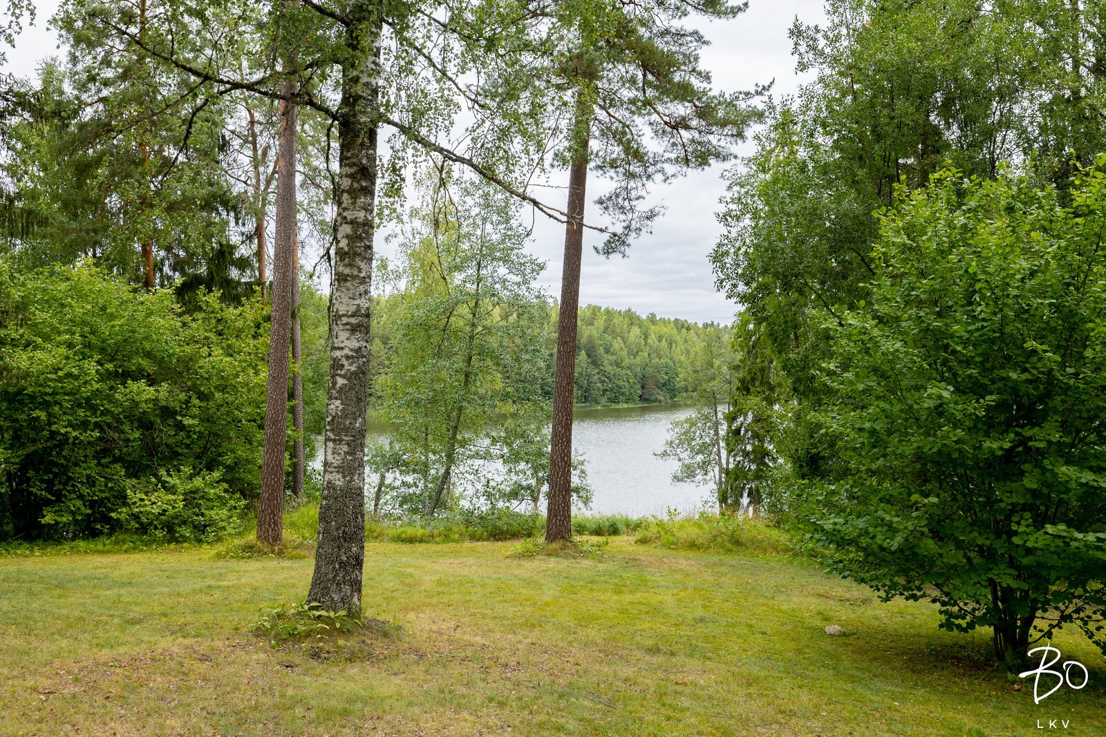 Pähkinälehto 27 - kuva 31