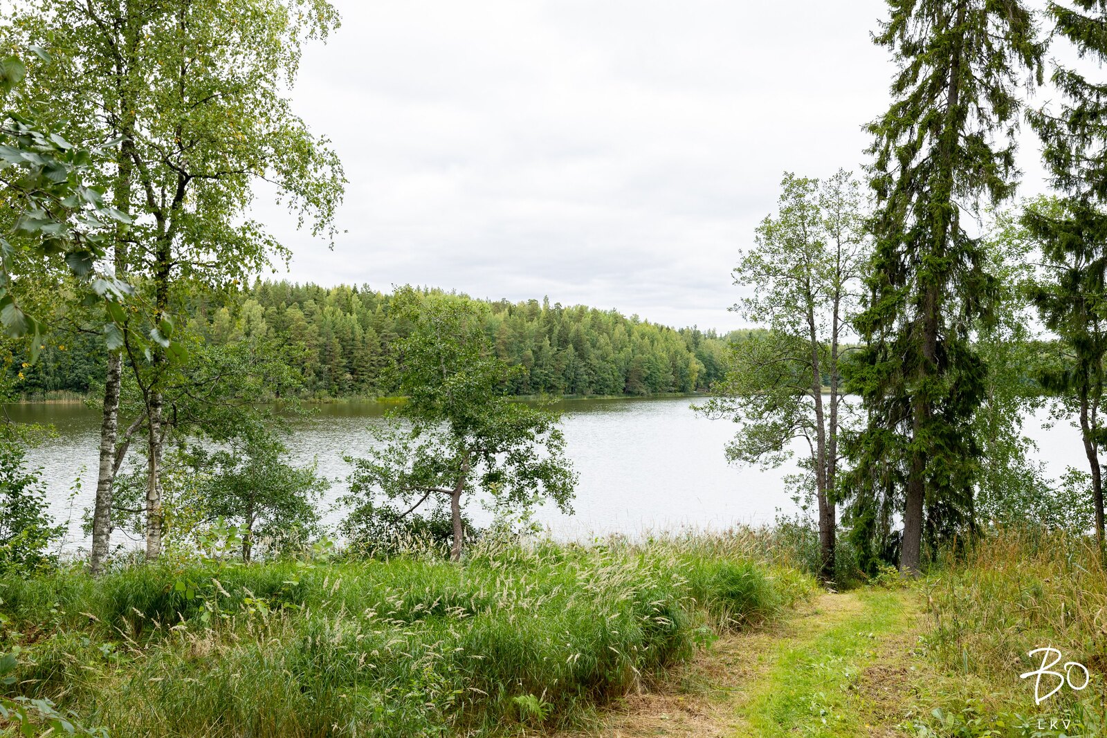 Pähkinälehto 27 - kuva 27