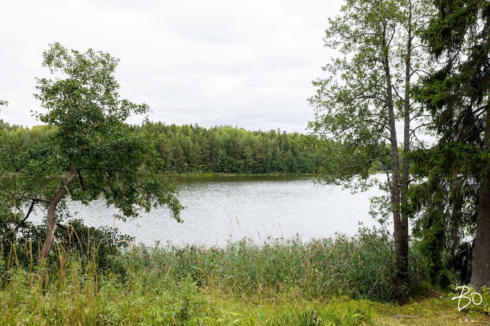 Pähkinälehto 27 - kuva 36