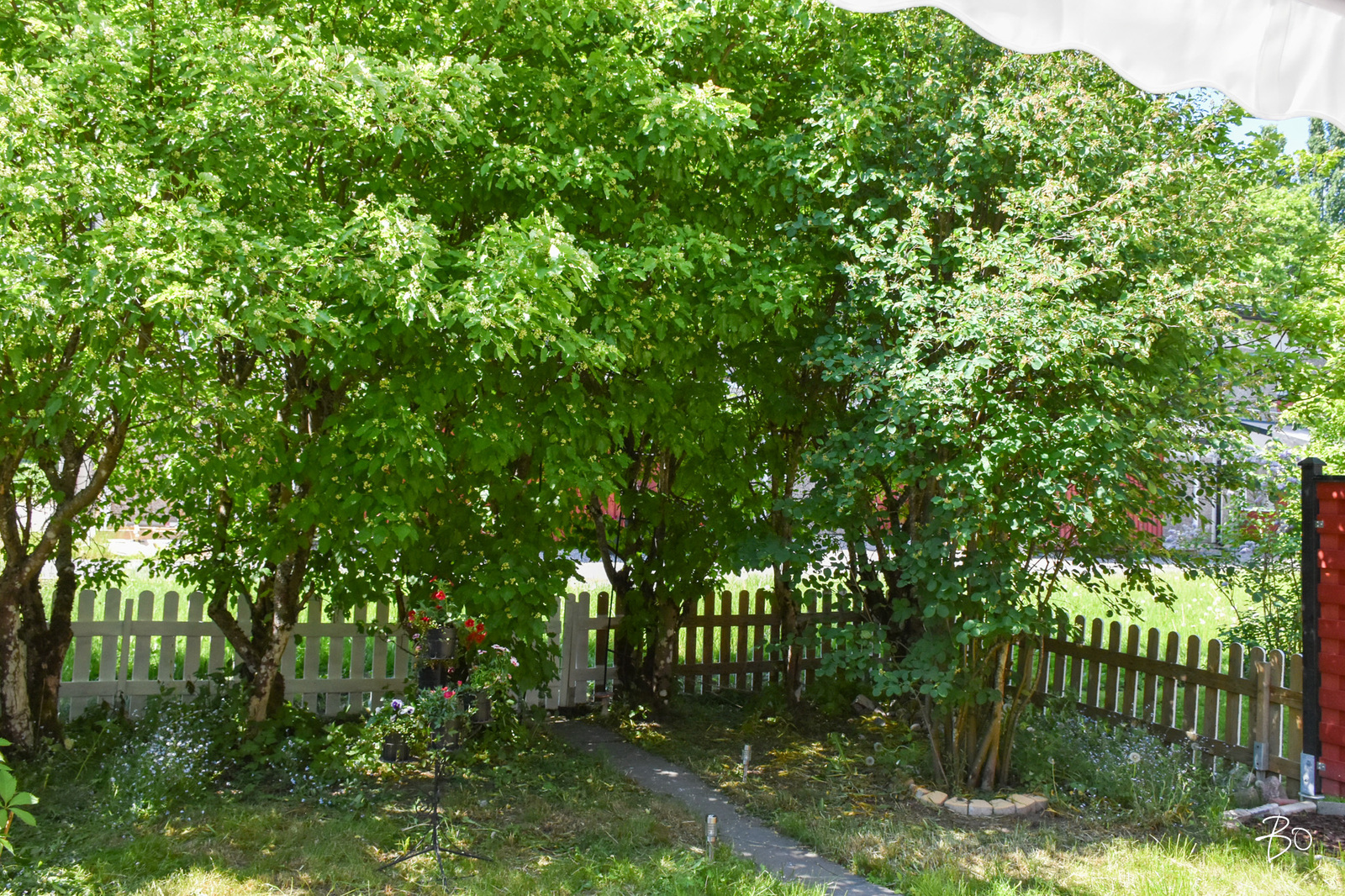 Framnäsintie 4 - image 27
