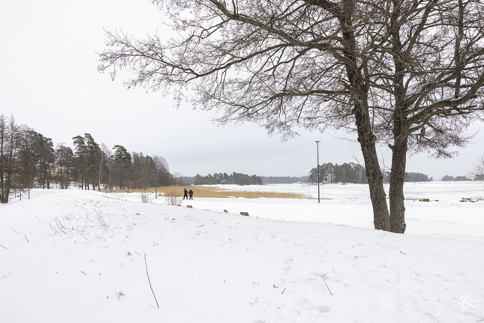 Nuottatie 8 - bild 36