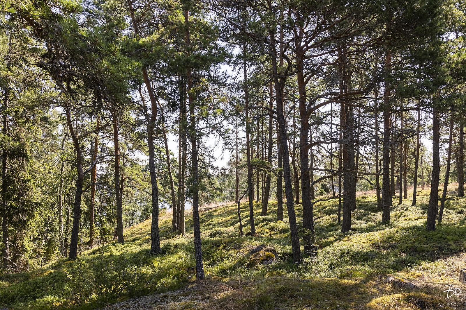 Ryssuddintie 193 c - kuva 59