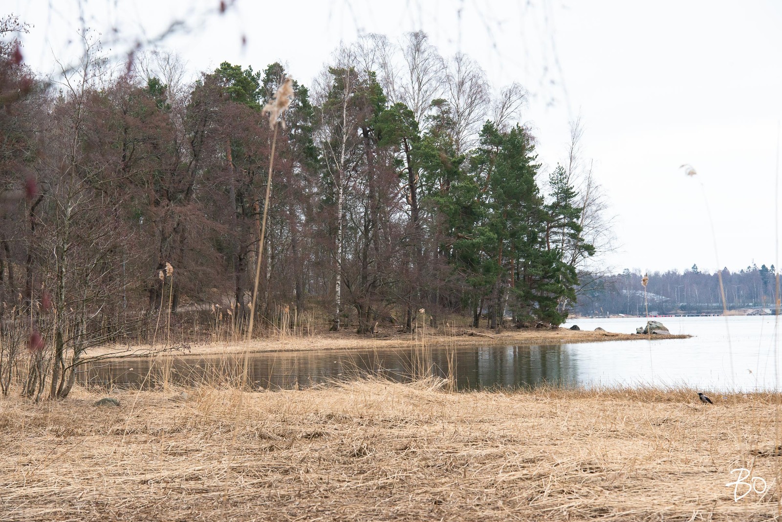 Lehdesniityntie 3 - bild 14