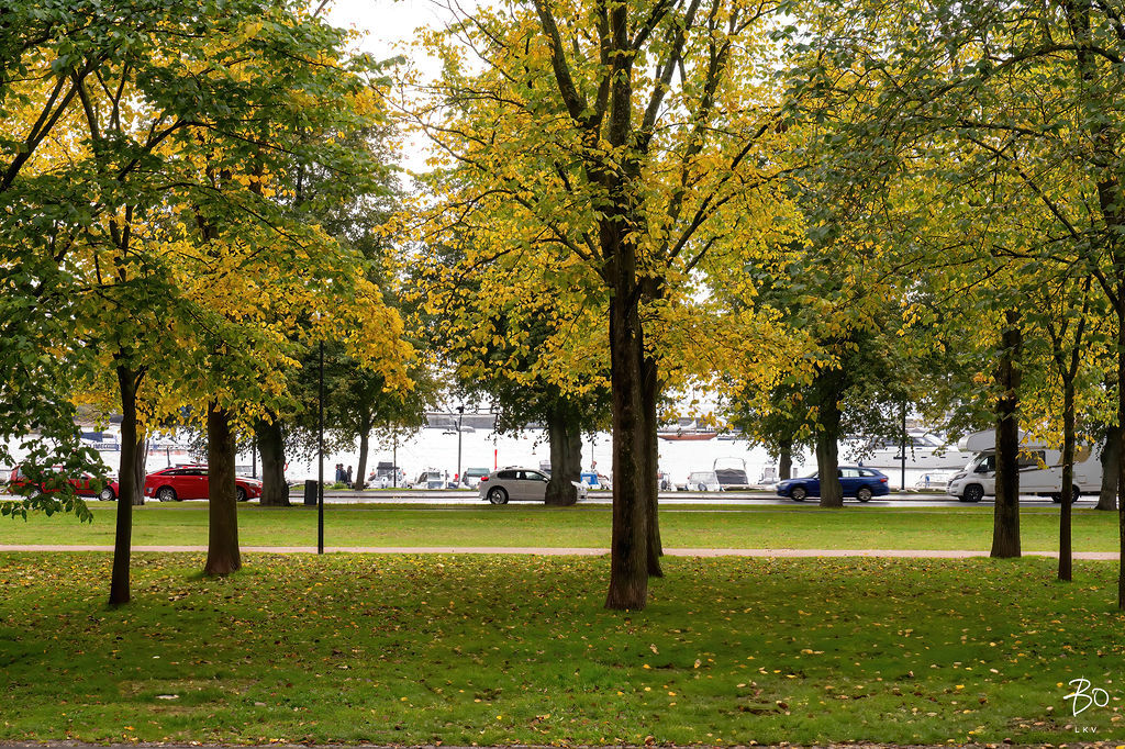 Merikatu 5 - kuva 44