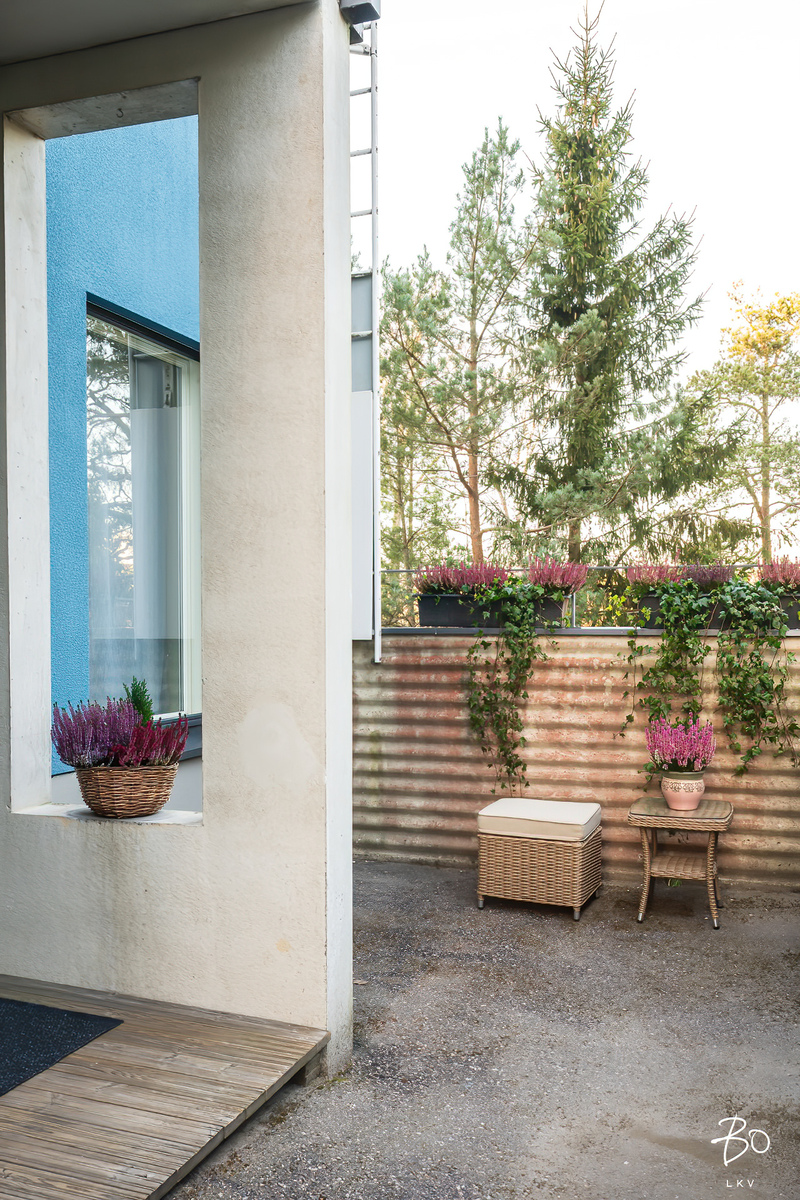 Lokirinne 8 - kuva 18