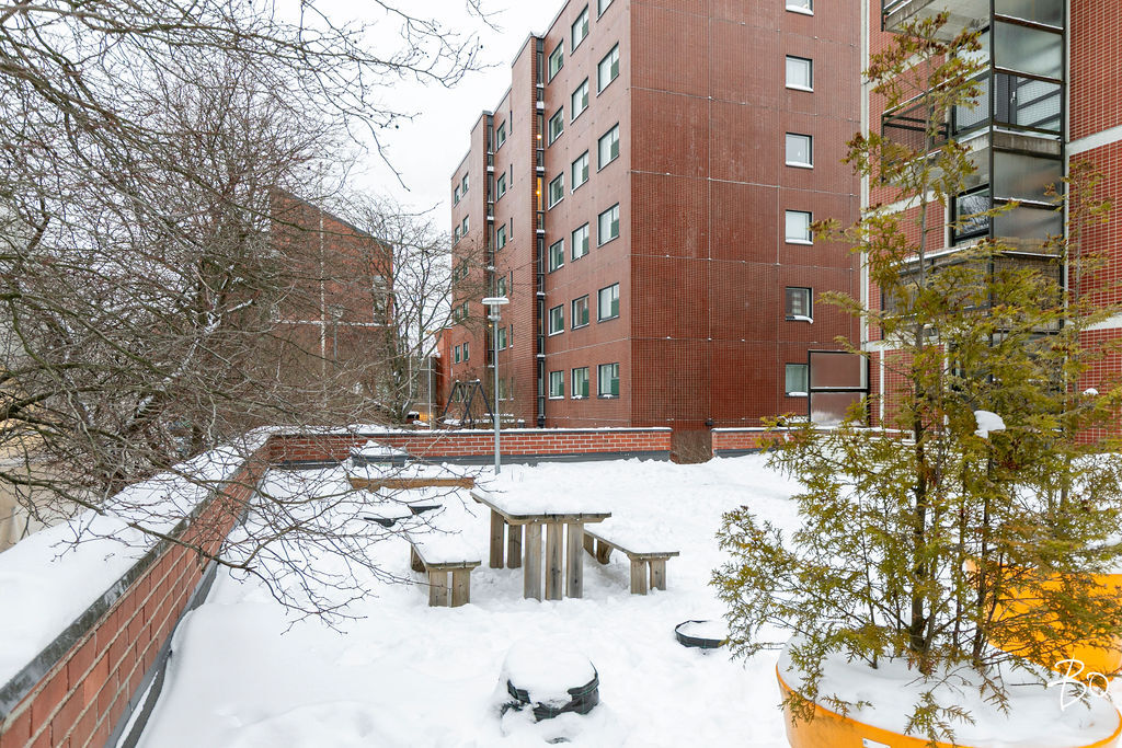 Pronssitie 2 - kuva 13