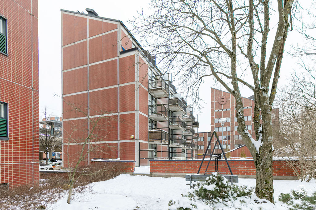 Pronssitie 2 - kuva 14