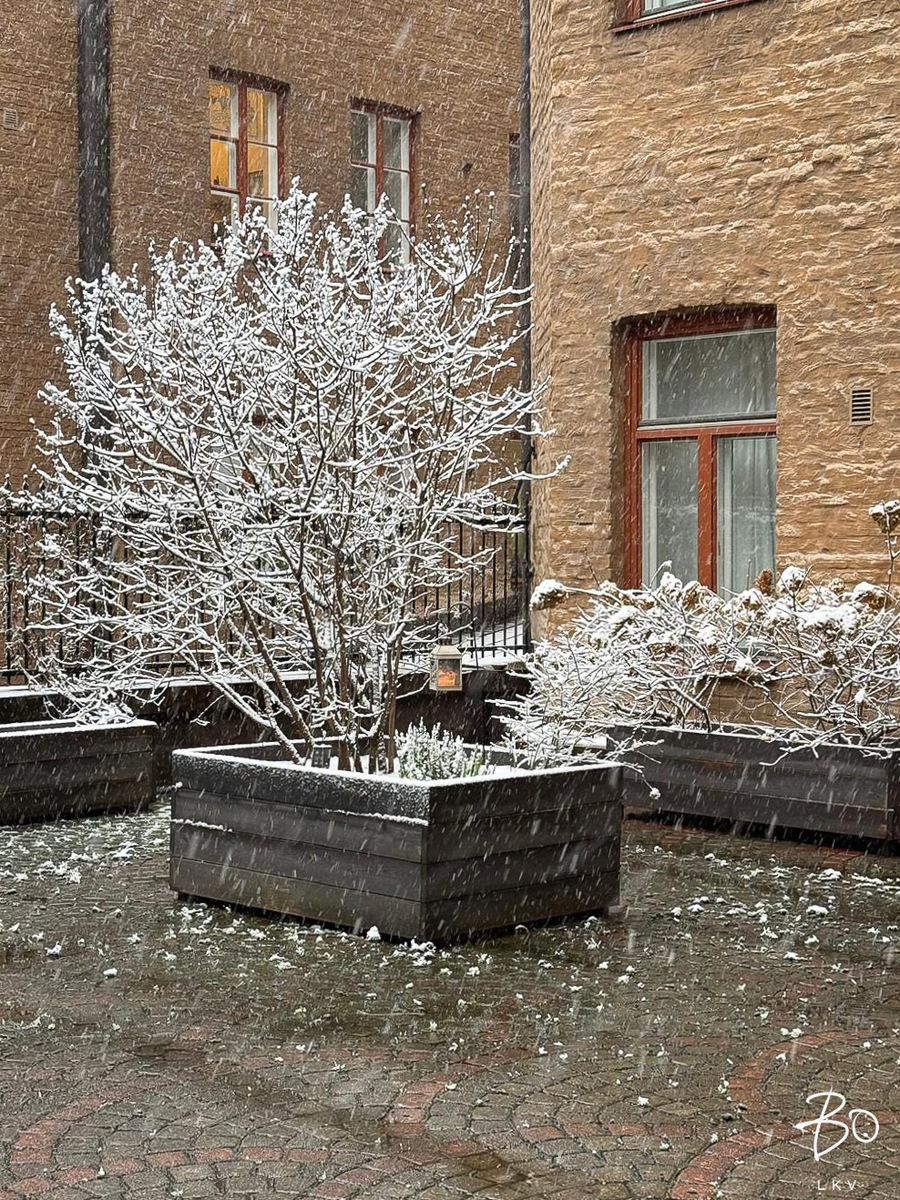 Liisankatu 19 - kuva 27