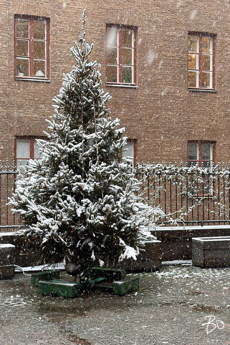 Liisankatu 19 - kuva 28