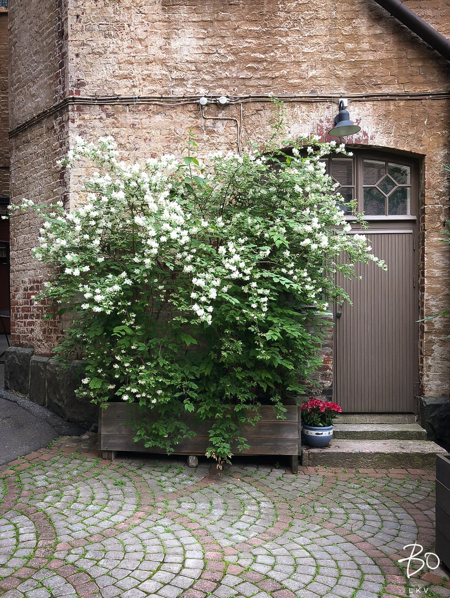 Liisankatu 19 - kuva 24