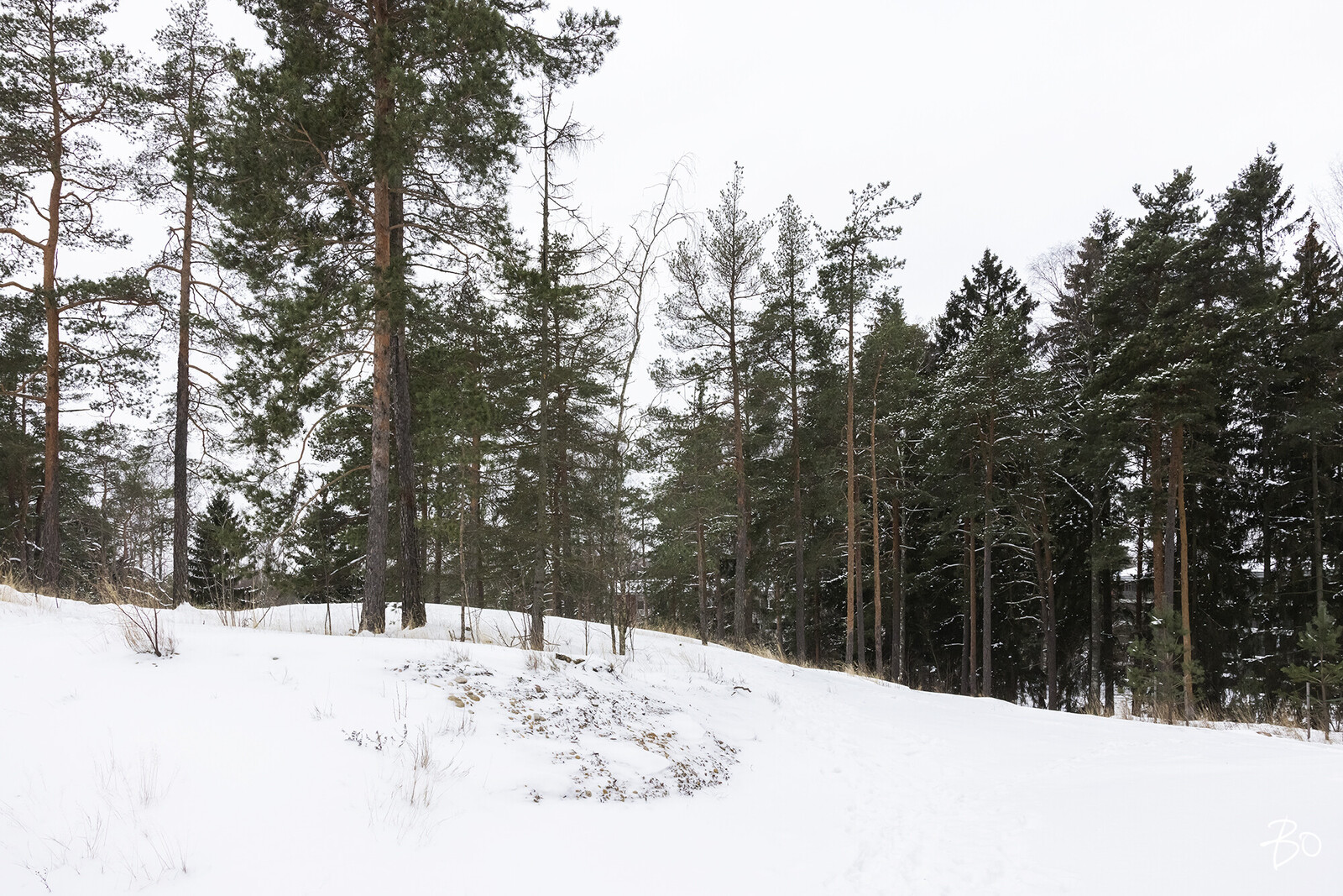 Ahertajankuja 4 - image 45