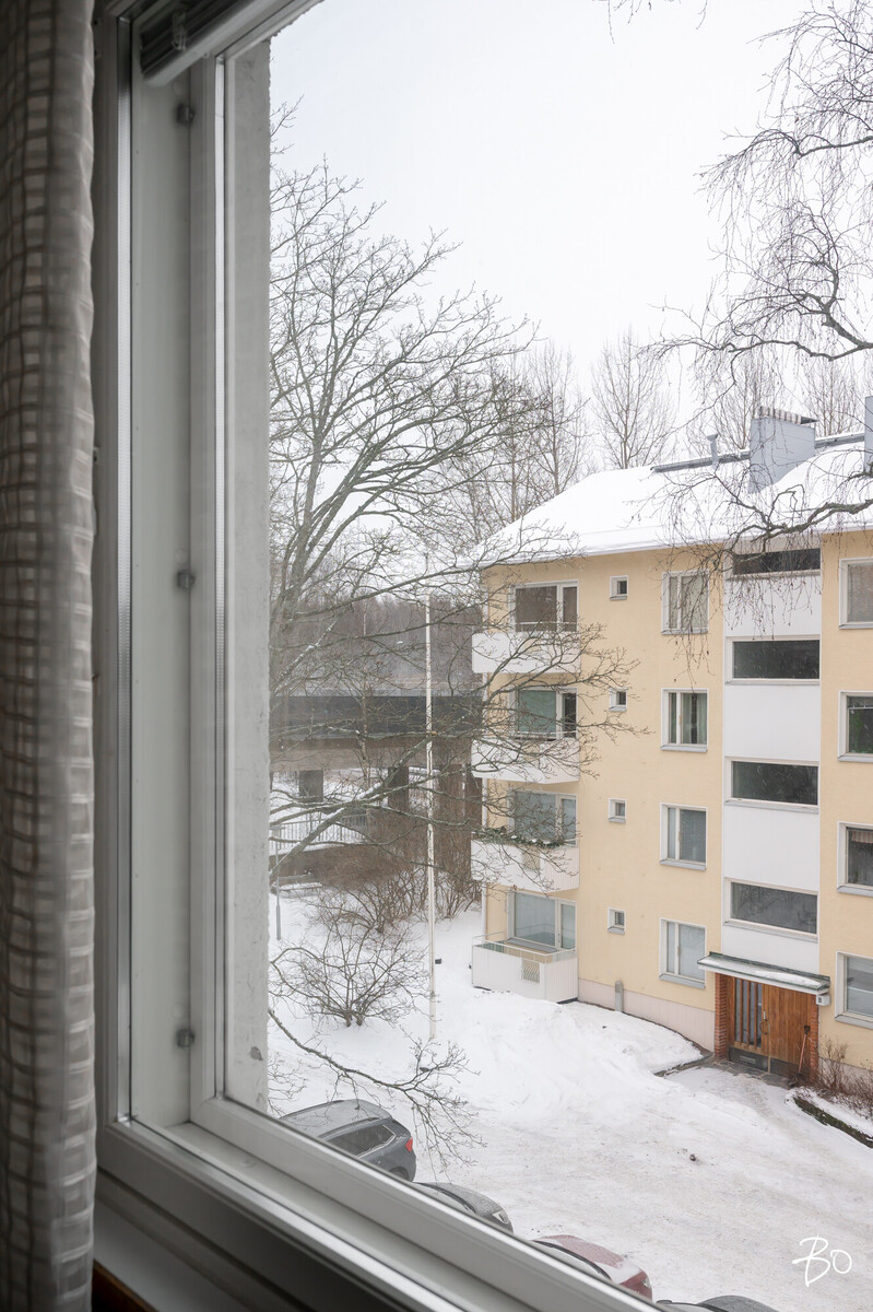 Vespertie 3 - kuva 15