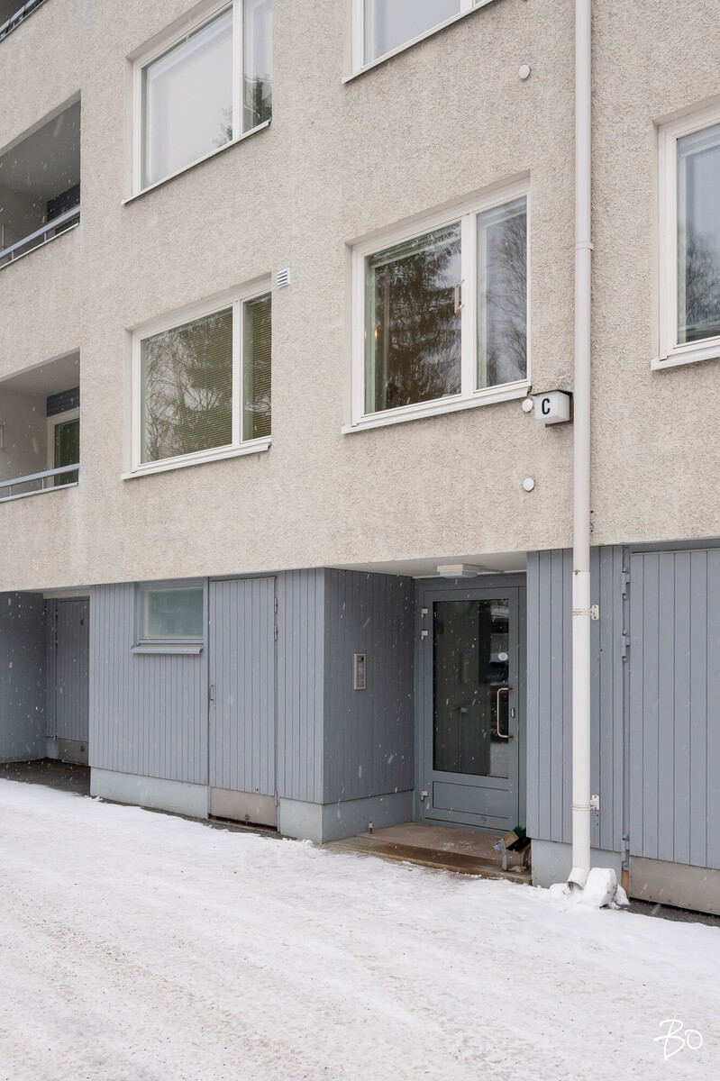 Vespertie 3 - kuva 18