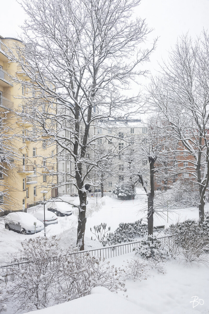 Aurorankatu 9 - kuva 5