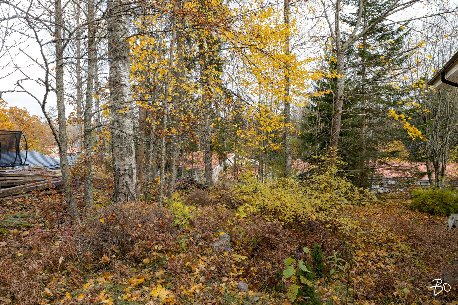 Kalamestarinpolku 4 A - bild 8