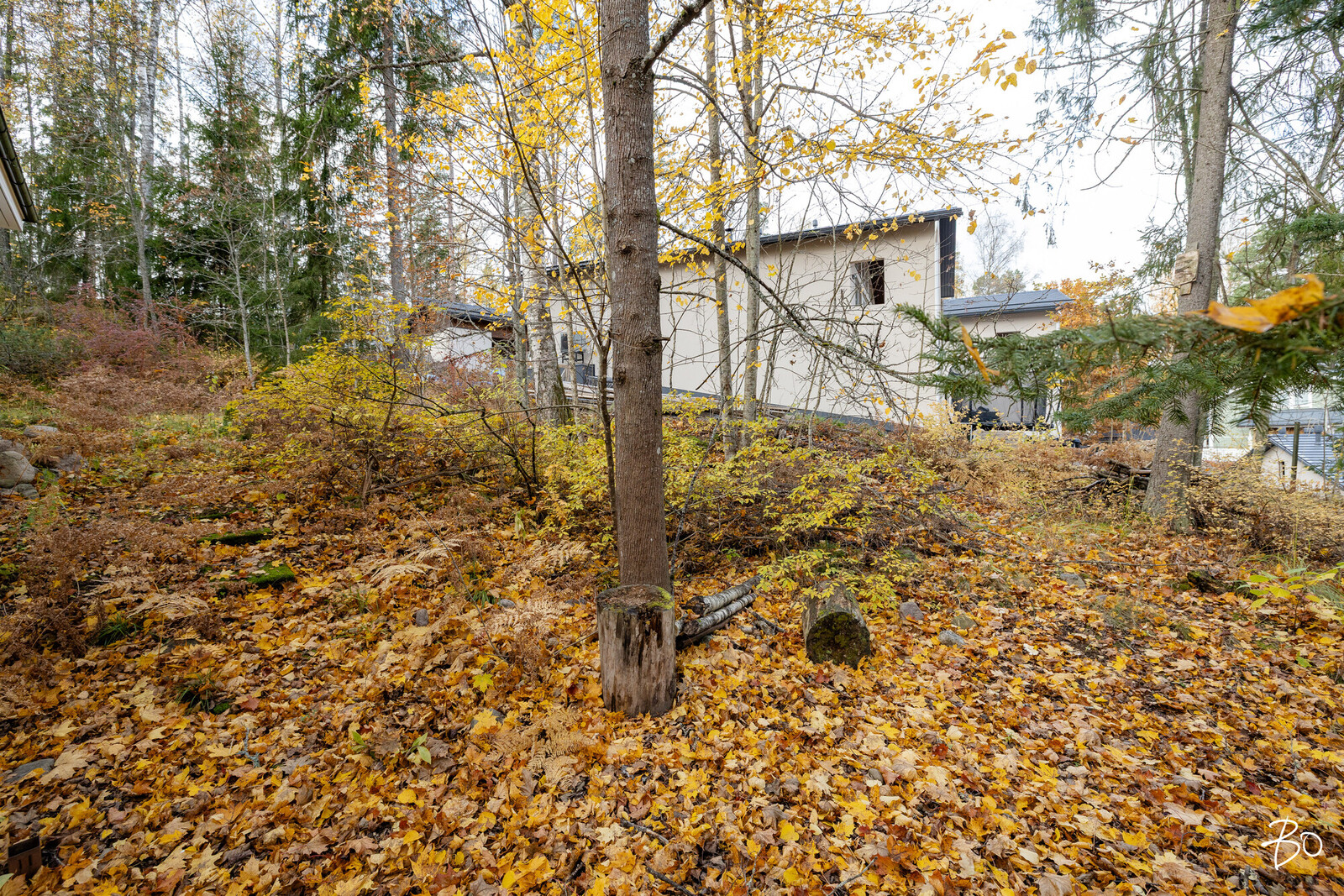 Kalamestarinpolku 4 A - bild 10