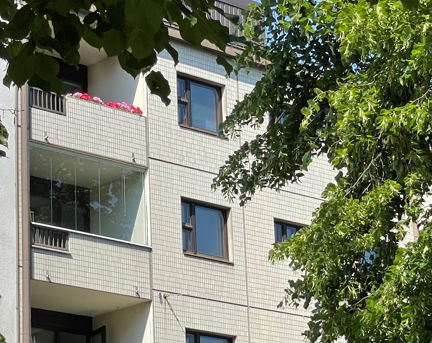 Läntinen Papinkatu 8 - kuva 16