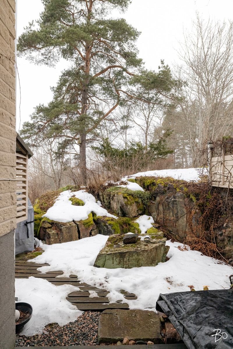 Runonlaulajantie 49 - bild 32