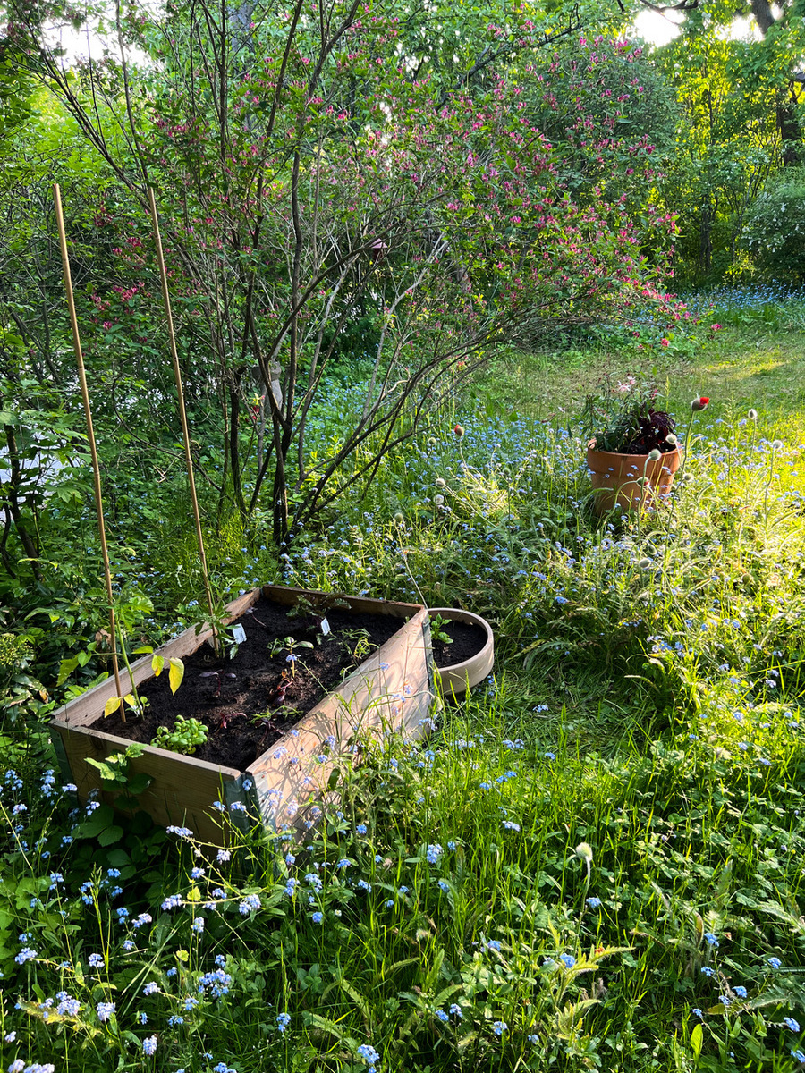 Teinintie  - kuva 31