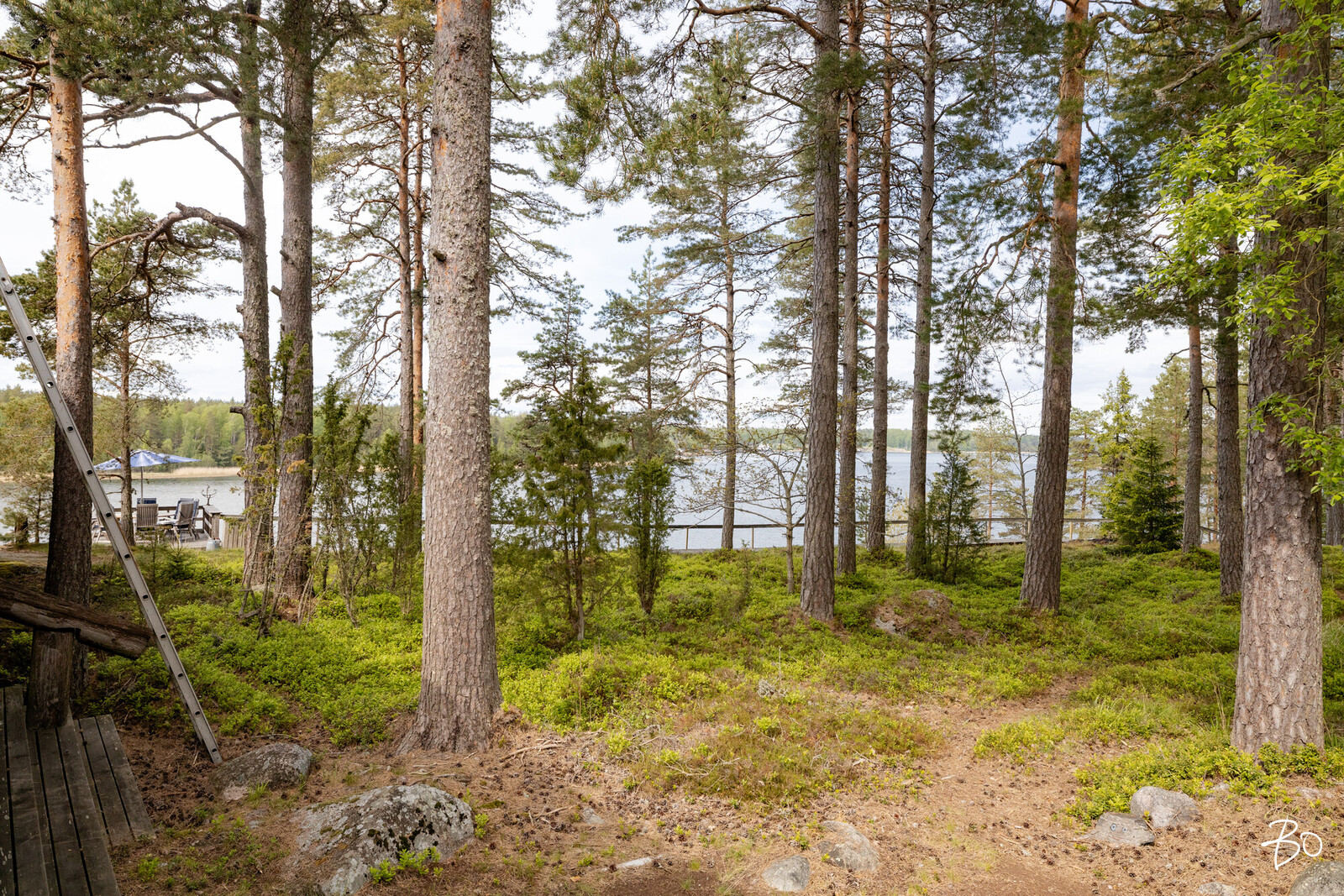 Järnö Kesähelmi - kuva 23