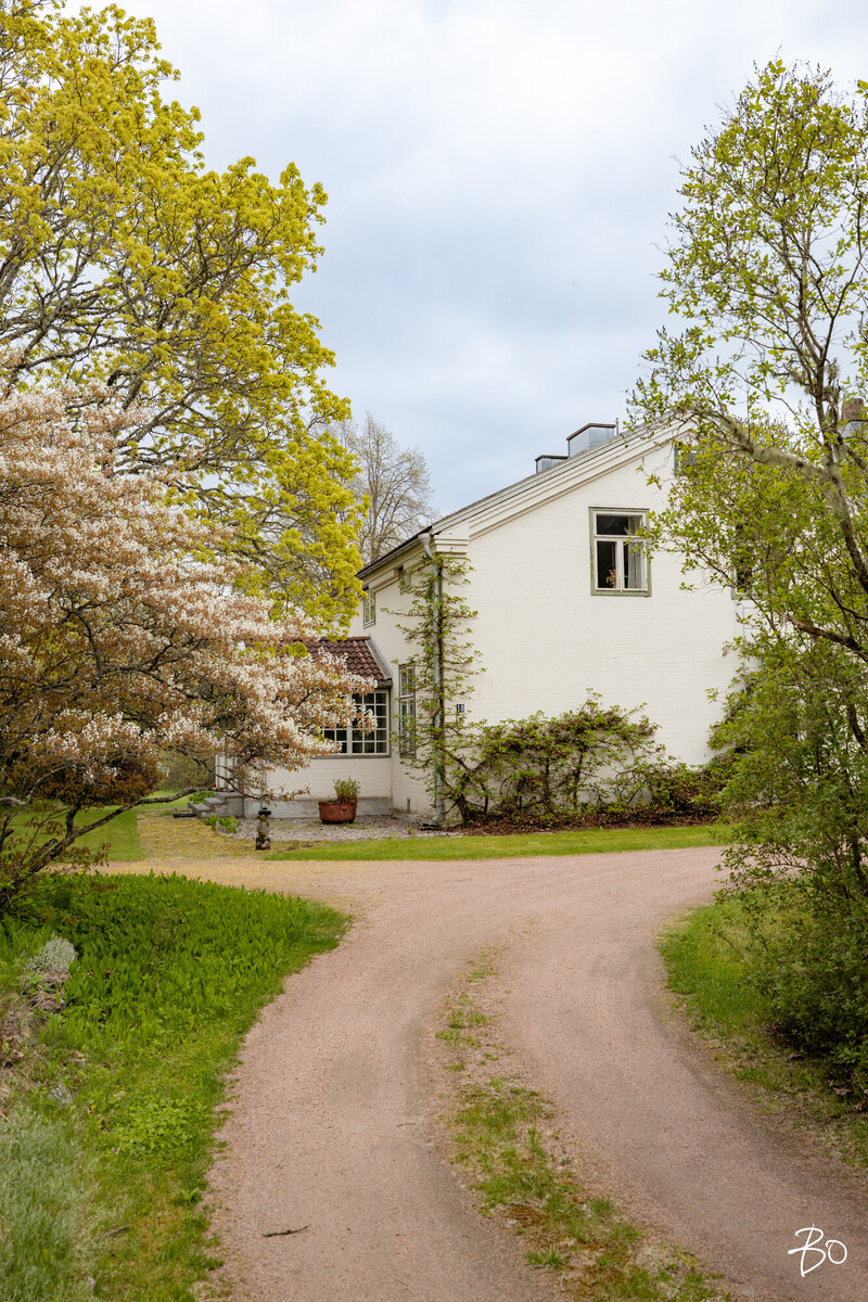 Juhani Ahon tie 10 - kuva 56