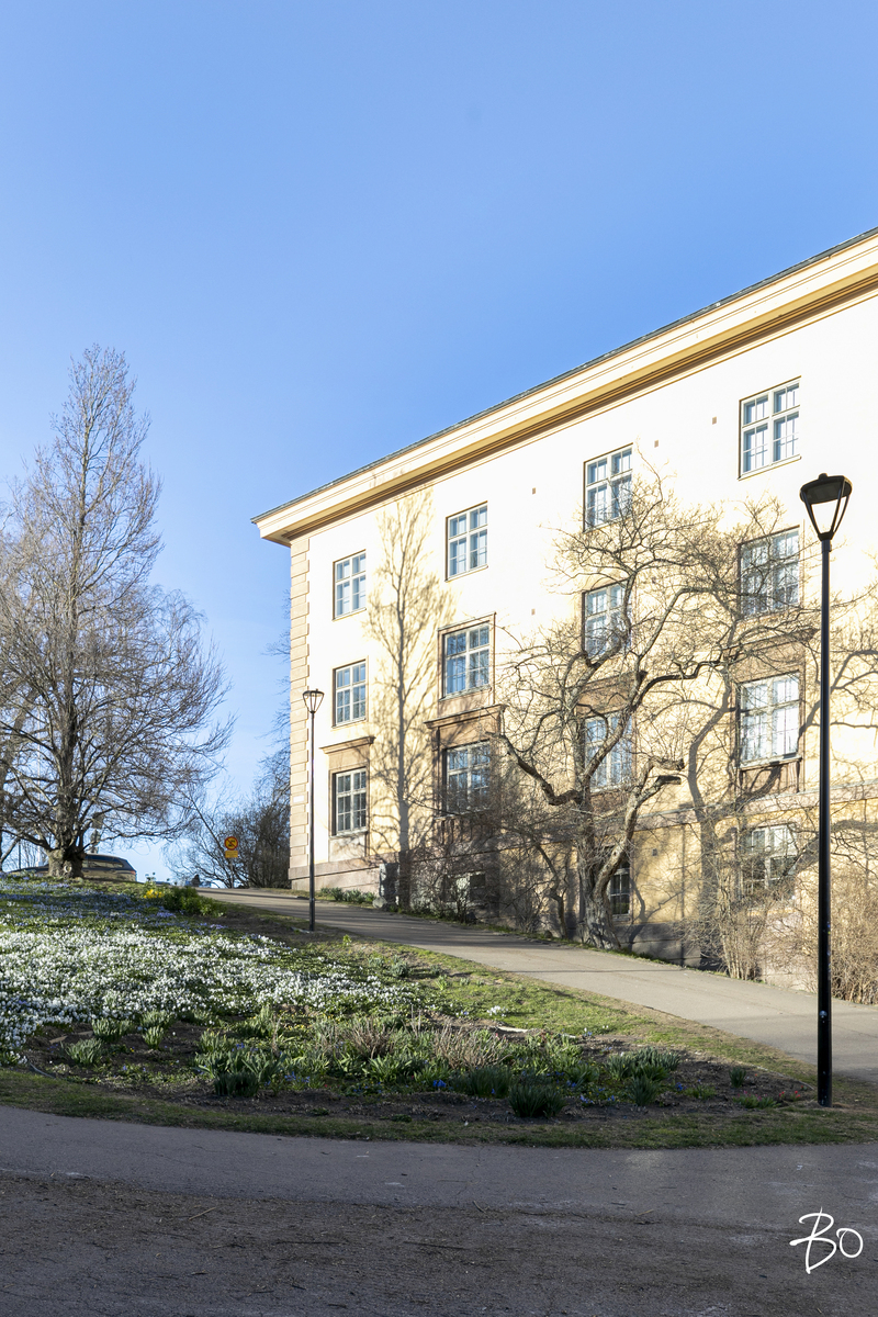 Tähtitorninkatu 8 - kuva 41