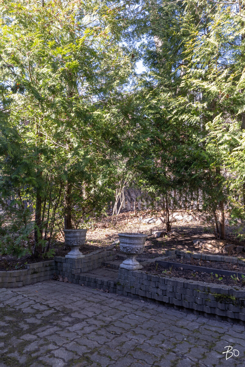 Ristiniementie 40 - image 25