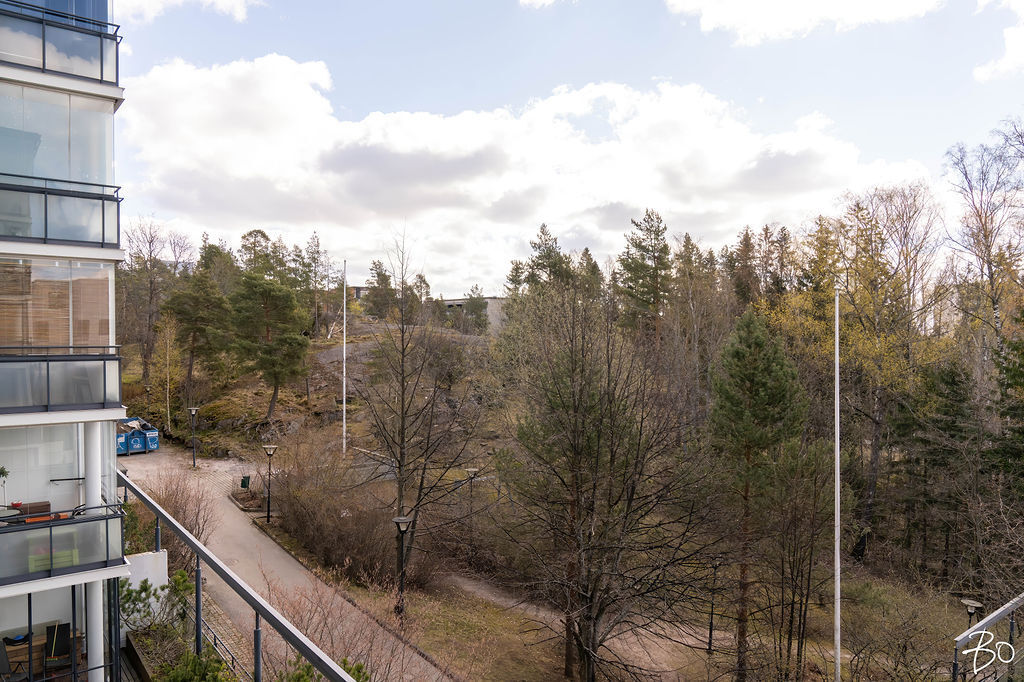 Rauhalanpuisto 8 - kuva 6