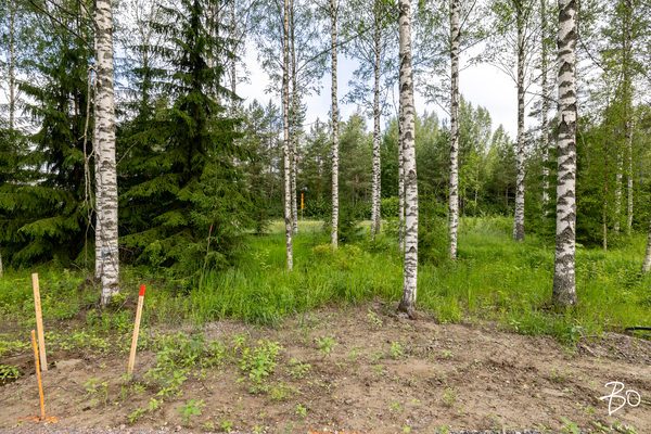 Pähkinänakkelinkuja 3 - kuva 3